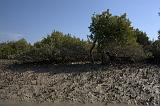 IMG_6664.CR2