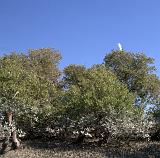 IMG_6666.CR2